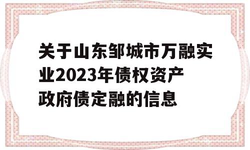 关于山东邹城市万融实业2023年债权资产政府债定融的信息