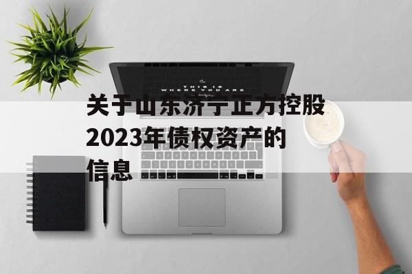 关于山东济宁正方控股2023年债权资产的信息