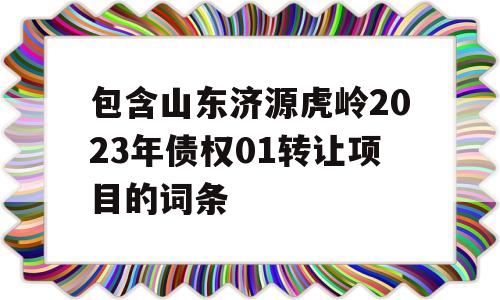 包含山东济源虎岭2023年债权01转让项目的词条