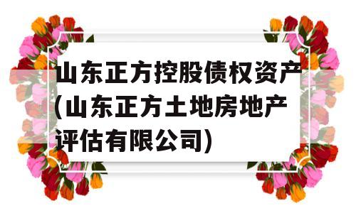 山东正方控股债权资产(山东正方土地房地产评估有限公司)