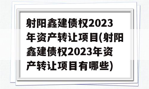 射阳鑫建债权2023年资产转让项目(射阳鑫建债权2023年资产转让项目有哪些)