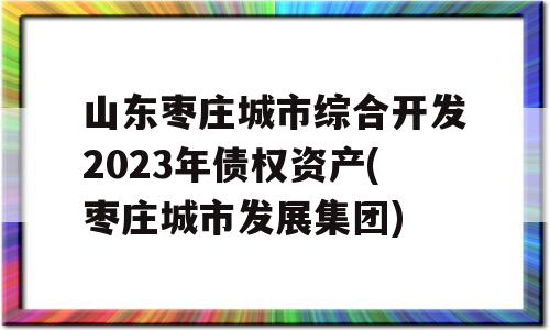 山东枣庄城市综合开发2023年债权资产(枣庄城市发展集团)