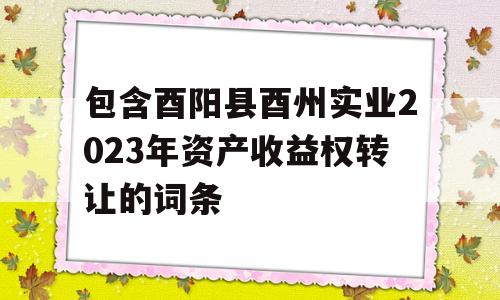 包含酉阳县酉州实业2023年资产收益权转让的词条