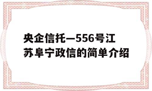 央企信托—556号江苏阜宁政信的简单介绍