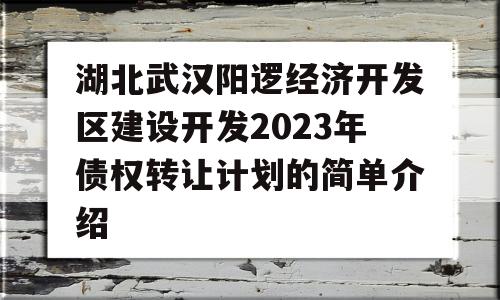 湖北武汉阳逻经济开发区建设开发2023年债权转让计划的简单介绍