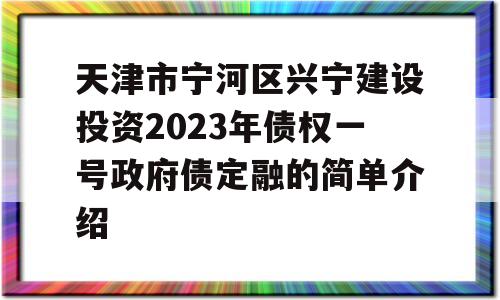 天津市宁河区兴宁建设投资2023年债权一号政府债定融的简单介绍