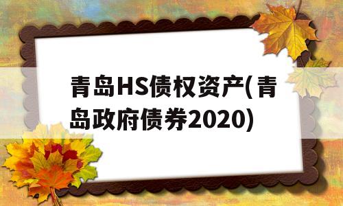 青岛HS债权资产(青岛政府债券2020)