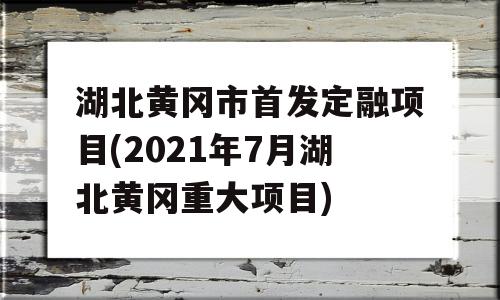 湖北黄冈市首发定融项目(2021年7月湖北黄冈重大项目)