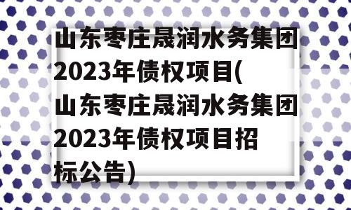 山东枣庄晟润水务集团2023年债权项目(山东枣庄晟润水务集团2023年债权项目招标公告)