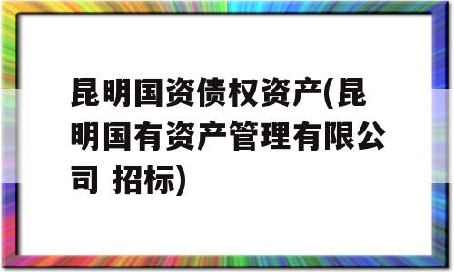 昆明国资债权资产(昆明国有资产管理有限公司 招标)