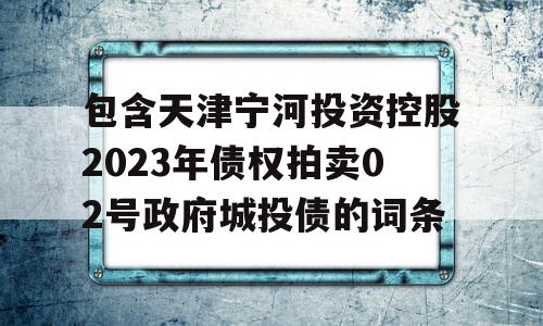 包含天津宁河投资控股2023年债权拍卖02号政府城投债的词条