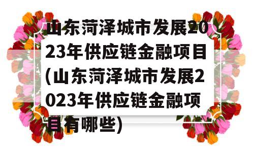 山东菏泽城市发展2023年供应链金融项目(山东菏泽城市发展2023年供应链金融项目有哪些)