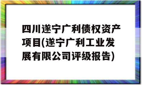 四川遂宁广利债权资产项目(遂宁广利工业发展有限公司评级报告)