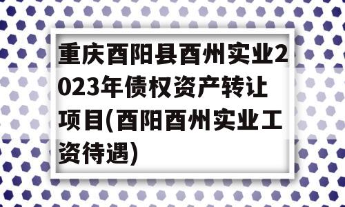 重庆酉阳县酉州实业2023年债权资产转让项目(酉阳酉州实业工资待遇)