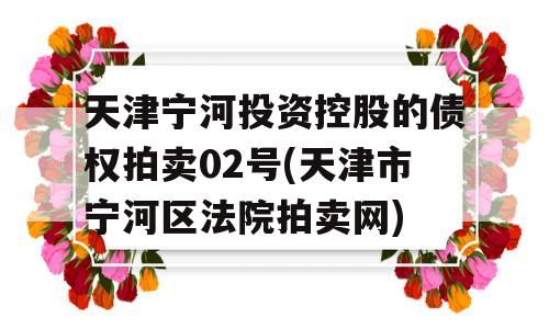 天津宁河投资控股的债权拍卖02号(天津市宁河区法院拍卖网)