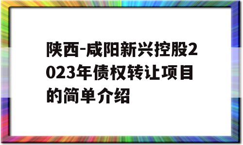 陕西-咸阳新兴控股2023年债权转让项目的简单介绍