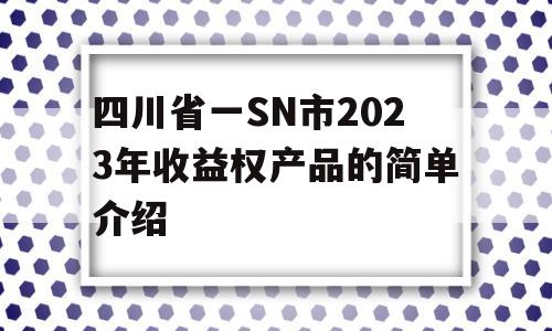 四川省一SN市2023年收益权产品的简单介绍