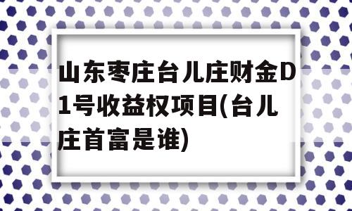 山东枣庄台儿庄财金D1号收益权项目(台儿庄首富是谁)