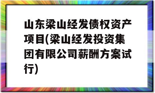 山东梁山经发债权资产项目(梁山经发投资集团有限公司薪酬方案试行)