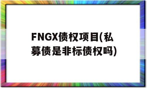 FNGX债权项目(私募债是非标债权吗)