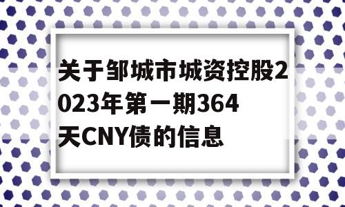 关于邹城市城资控股2023年第一期364天CNY债的信息