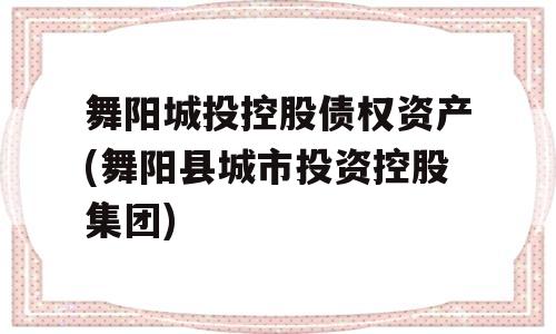 舞阳城投控股债权资产(舞阳县城市投资控股集团)