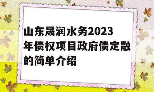 山东晟润水务2023年债权项目政府债定融的简单介绍