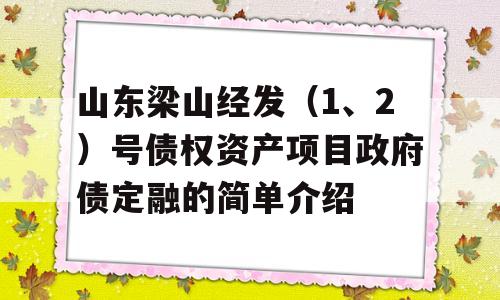 山东梁山经发（1、2）号债权资产项目政府债定融的简单介绍