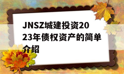 JNSZ城建投资2023年债权资产的简单介绍