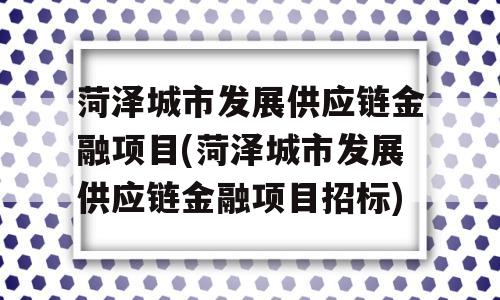 菏泽城市发展供应链金融项目(菏泽城市发展供应链金融项目招标)