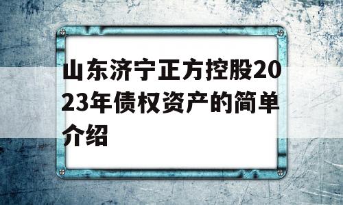 山东济宁正方控股2023年债权资产的简单介绍