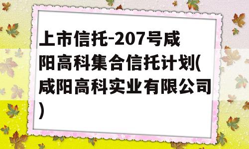 上市信托-207号咸阳高科集合信托计划(咸阳高科实业有限公司)