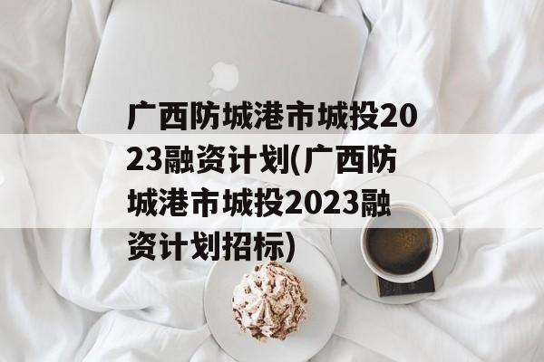 广西防城港市城投2023融资计划(广西防城港市城投2023融资计划招标)