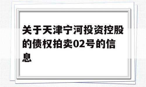 关于天津宁河投资控股的债权拍卖02号的信息