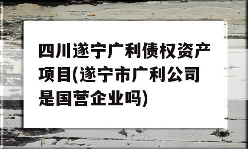 四川遂宁广利债权资产项目(遂宁市广利公司是国营企业吗)