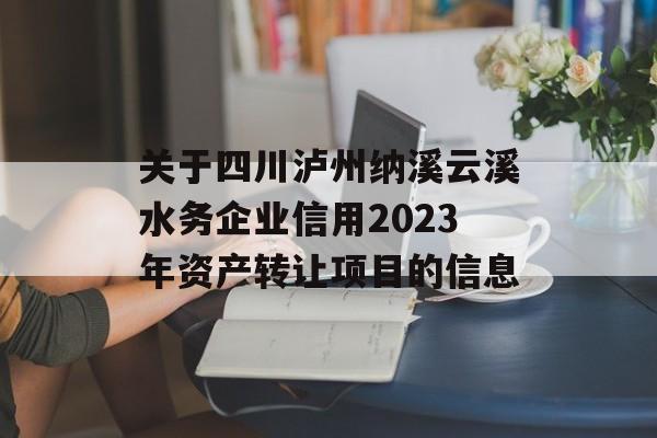 关于四川泸州纳溪云溪水务企业信用2023年资产转让项目的信息