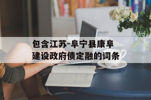 包含江苏-阜宁县康阜建设政府债定融的词条