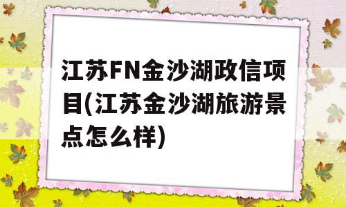 江苏FN金沙湖政信项目(江苏金沙湖旅游景点怎么样)