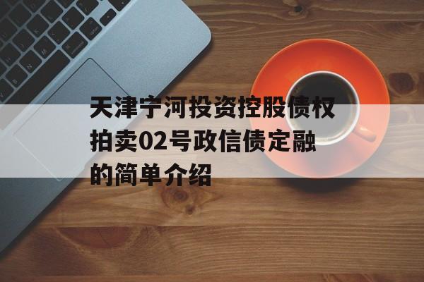 天津宁河投资控股债权拍卖02号政信债定融的简单介绍