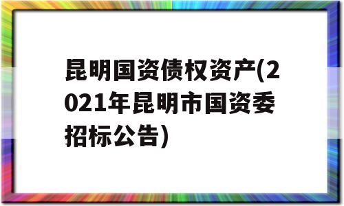 昆明国资债权资产(2021年昆明市国资委招标公告)