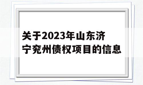 关于2023年山东济宁兖州债权项目的信息