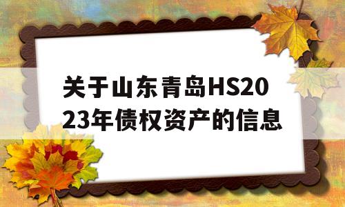 关于山东青岛HS2023年债权资产的信息