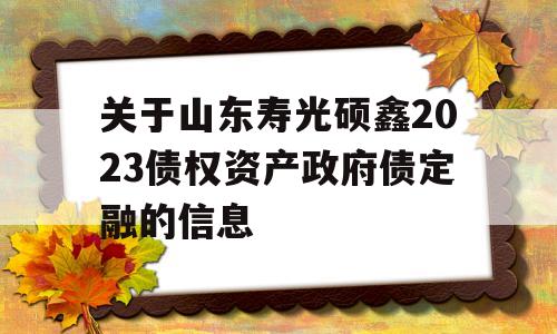 关于山东寿光硕鑫2023债权资产政府债定融的信息