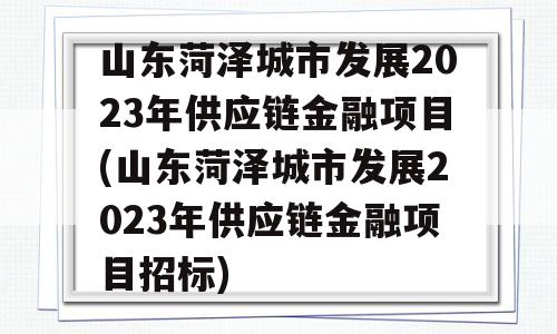 山东菏泽城市发展2023年供应链金融项目(山东菏泽城市发展2023年供应链金融项目招标)