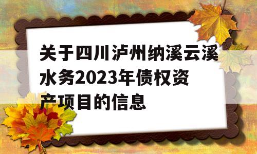 关于四川泸州纳溪云溪水务2023年债权资产项目的信息