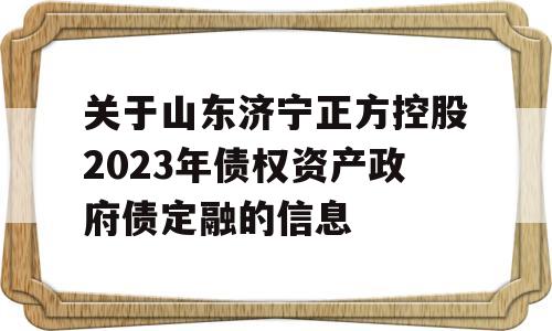 关于山东济宁正方控股2023年债权资产政府债定融的信息