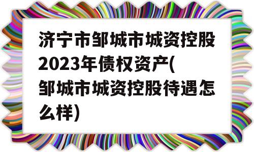 济宁市邹城市城资控股2023年债权资产(邹城市城资控股待遇怎么样)