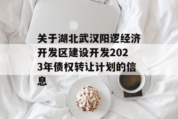 关于湖北武汉阳逻经济开发区建设开发2023年债权转让计划的信息