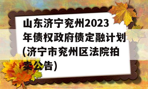 山东济宁兖州2023年债权政府债定融计划(济宁市兖州区法院拍卖公告)