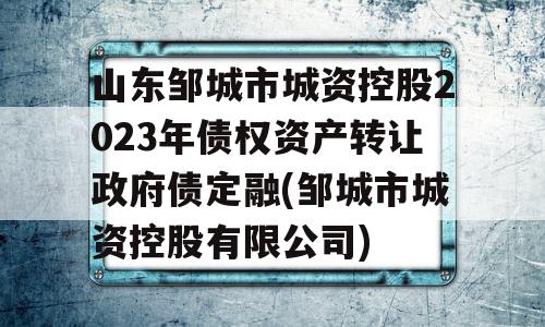 山东邹城市城资控股2023年债权资产转让政府债定融(邹城市城资控股有限公司)